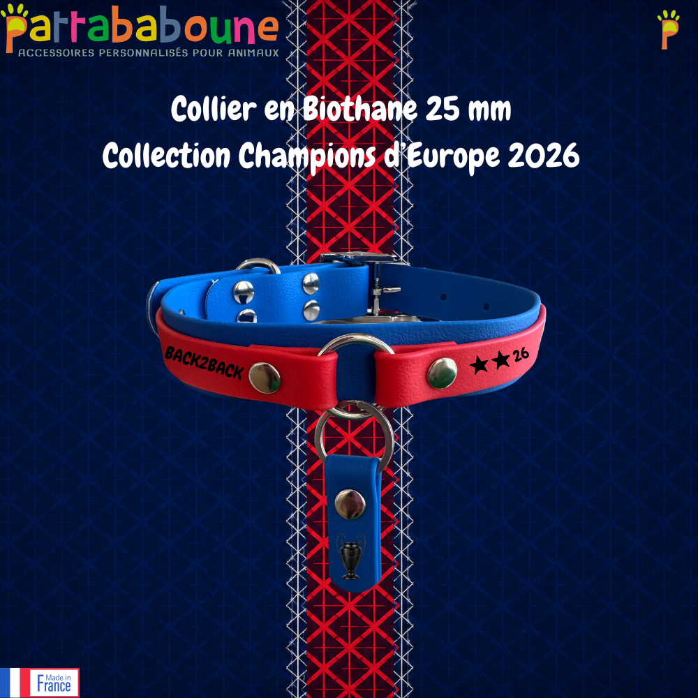 Collier pour chien personnalisé en Biothane 25 & 16 mm - Collection Champions d'Europe 2026