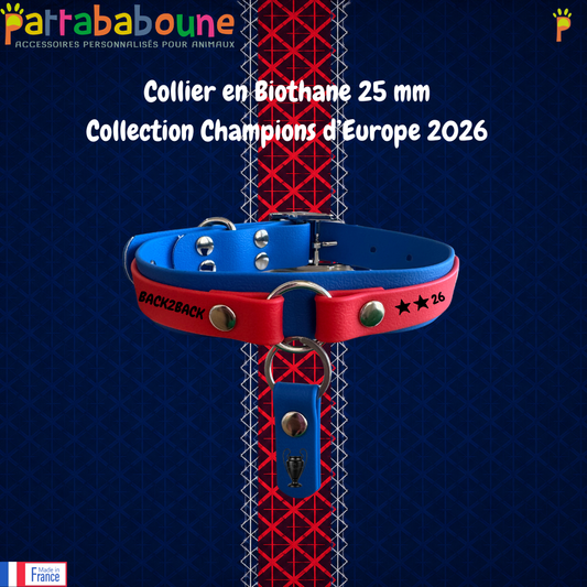Collier pour chien personnalisé en Biothane 25 & 16 mm - Collection Champions d'Europe 2026