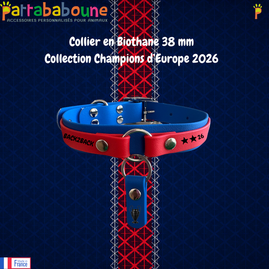 Collier pour chien personnalisé en Biothane 38 & 25 mm - Collection Champions d'Europe 2026