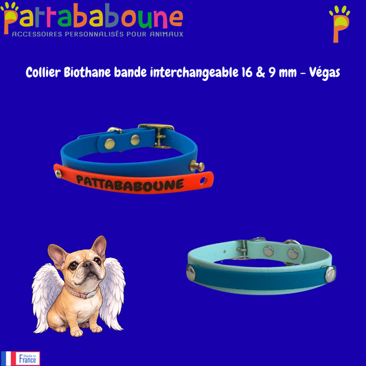 Collier chien Biothane personnalisé - Bande interchangeable 16 & 9 mm - Modèle Végas