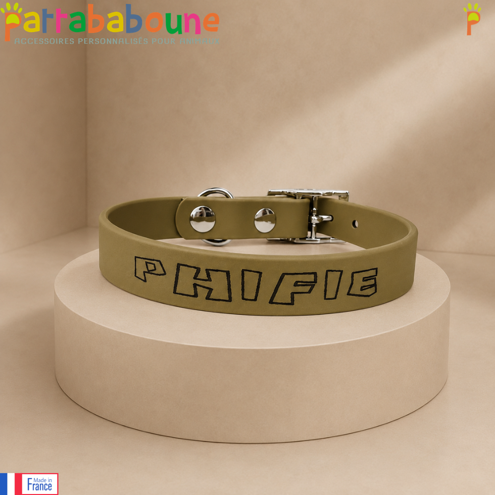 Custom Biothane 16mm Collar for Dogs and Cats