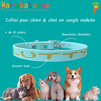 Collier personnalisé en TPU 16 mm