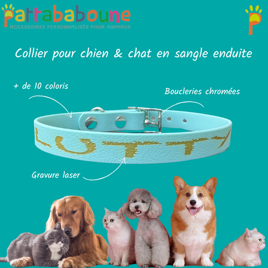 Collier chien & chat personnalisé en sangle enduite 16mm