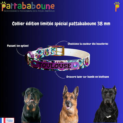Collier pour chien édition limitée spéciale Pattababoune - Biothane imprimé UV 38 mm