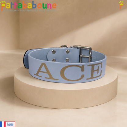 Personalized 38 mm Biothane dog collar - Laser engraving