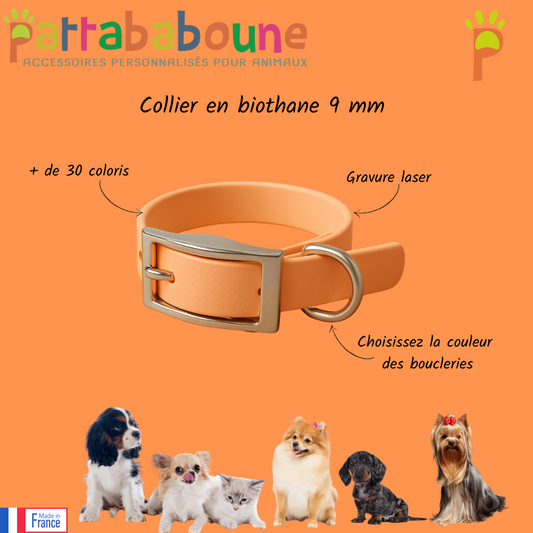 Collier personnalisé en biothane 9 mm