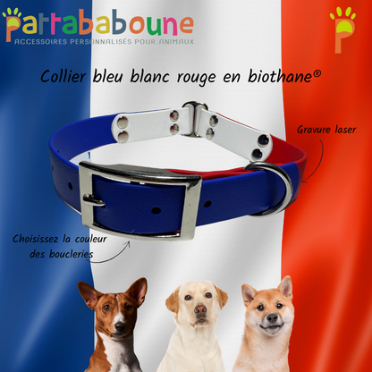 Collier personnalisé en biothane 25 mm