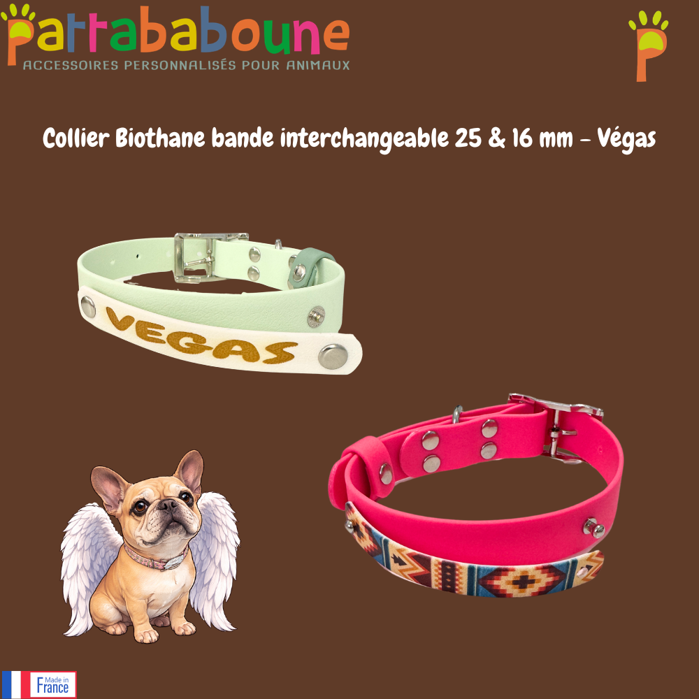 Collier chien Biothane personnalisé - Bande interchangeable 25 & 16 mm - Modèle Végas