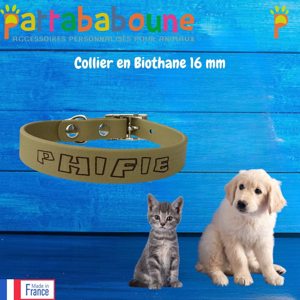 Collier personnalisé en biothane 16 mm - Pour chiens et chats