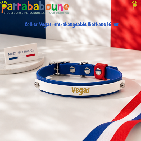 Collier chien Biothane personnalisé - Bande interchangeable 16 & 9 mm - Modèle Végas
