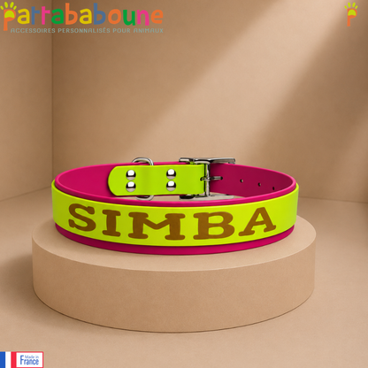 Collier personnalisé pour chien - Biothane 25 & 16 mm - Spécial King