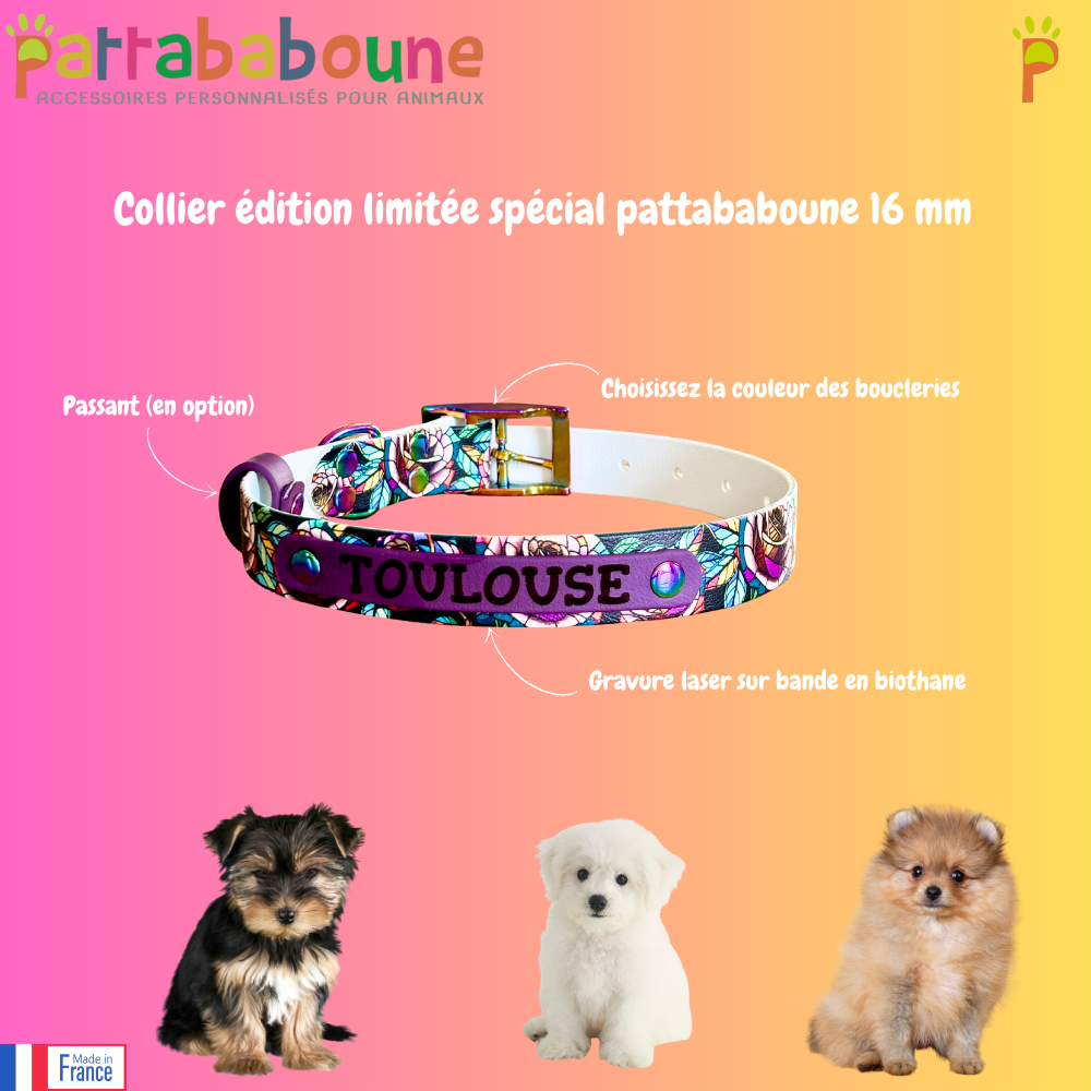 Collier pour chien édition limitée spéciale Pattababoune - Biothane imprimé UV 16 mm