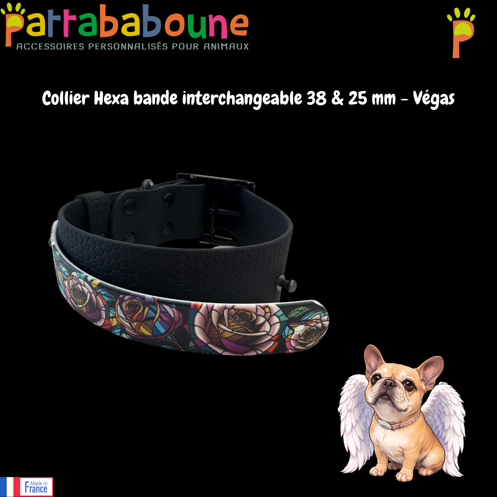 Collier chien Hexa personnalisé - Bande interchangeable 40 & 25 mm - Modèle Végas