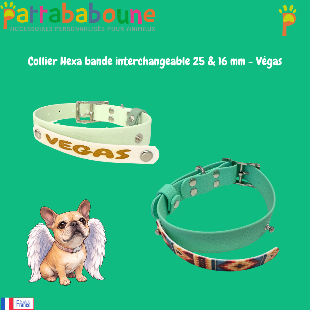Collier chien Hexa personnalisé - Bande interchangeable 25 & 16 mm - Modèle Végas