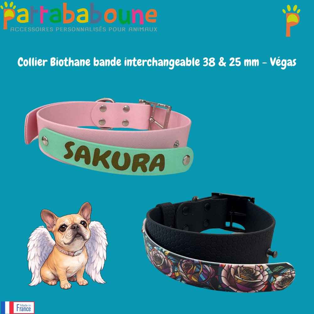 Collier chien Biothane personnalisé - Bande interchangeable 38 & 25 mm - Modèle Végas