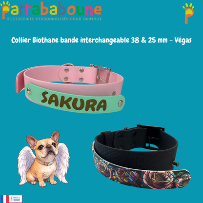 Collier chien Biothane personnalisé - Bande interchangeable 38 & 25 mm - Modèle Végas