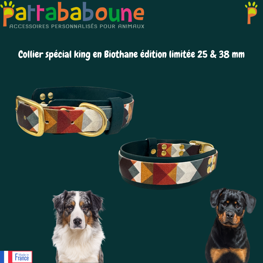 Collier personnalisé en biothane 38 mm et 25 mm - Spécial King édition limitée