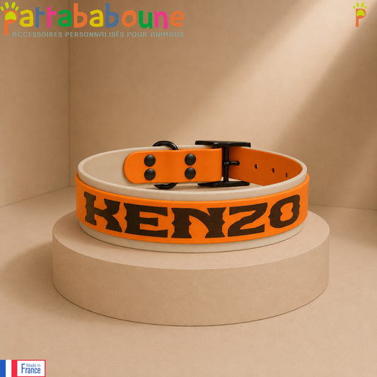 Collier personnalisé en biothane 38 mm & 25 mm - Spécial King