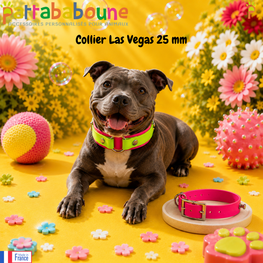 Collier chien Biothane personnalisé - LAS VEGAS 25 mm