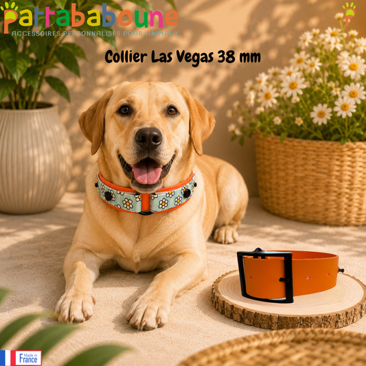 Collier chien Biothane personnalisé - LAS VEGAS 38 mm