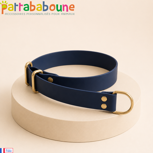 Collier martingale réglable personnalisé en biothane 25mm | Pattababoune