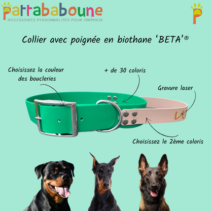 Collier poignée personnalisé en biothane 38 mm
