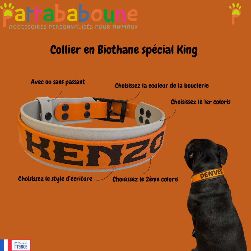 Collier personnalisé en biothane 38 mm & 25 mm - Spécial King