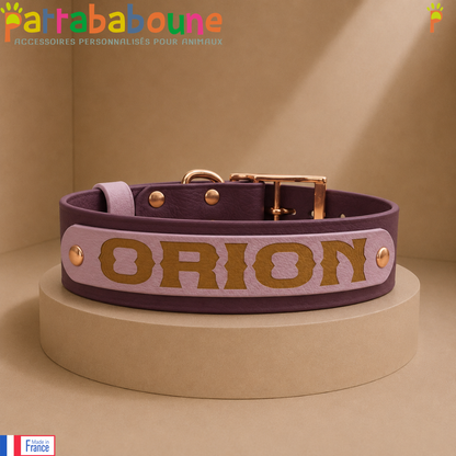 Collier pour chien spéciale Pattababoune en biothane 38 mm - Gravure laser