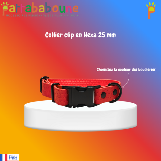 Collier chien personnalisé – Clip sécurisé – Hexa 25 mm