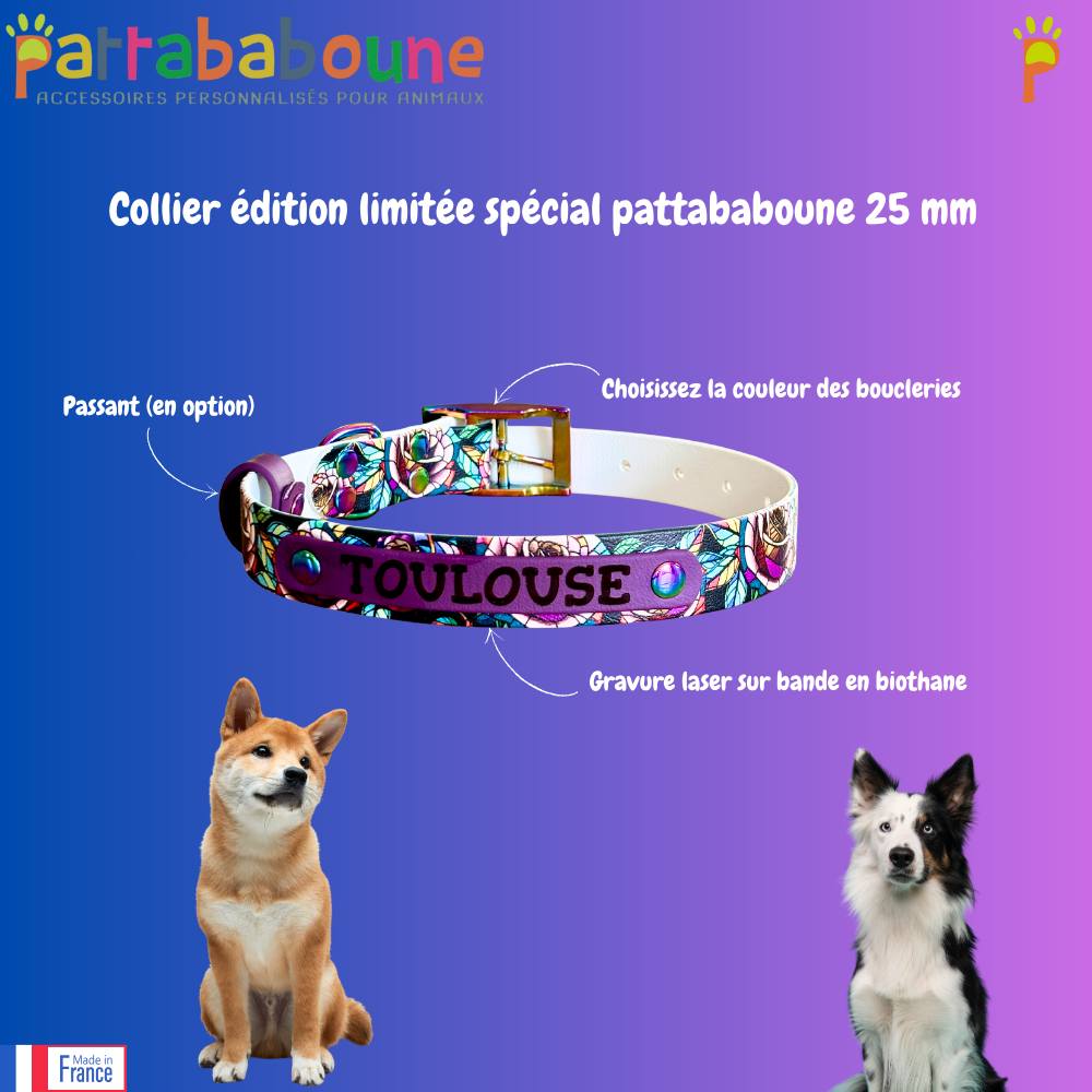 Collier pour chien édition limitée spéciale Pattababoune - Biothane imprimé UV 25 mm