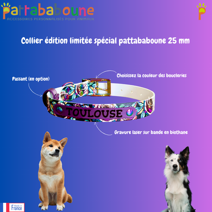 Collier pour chien édition limitée spéciale Pattababoune - Biothane imprimé UV 25 mm