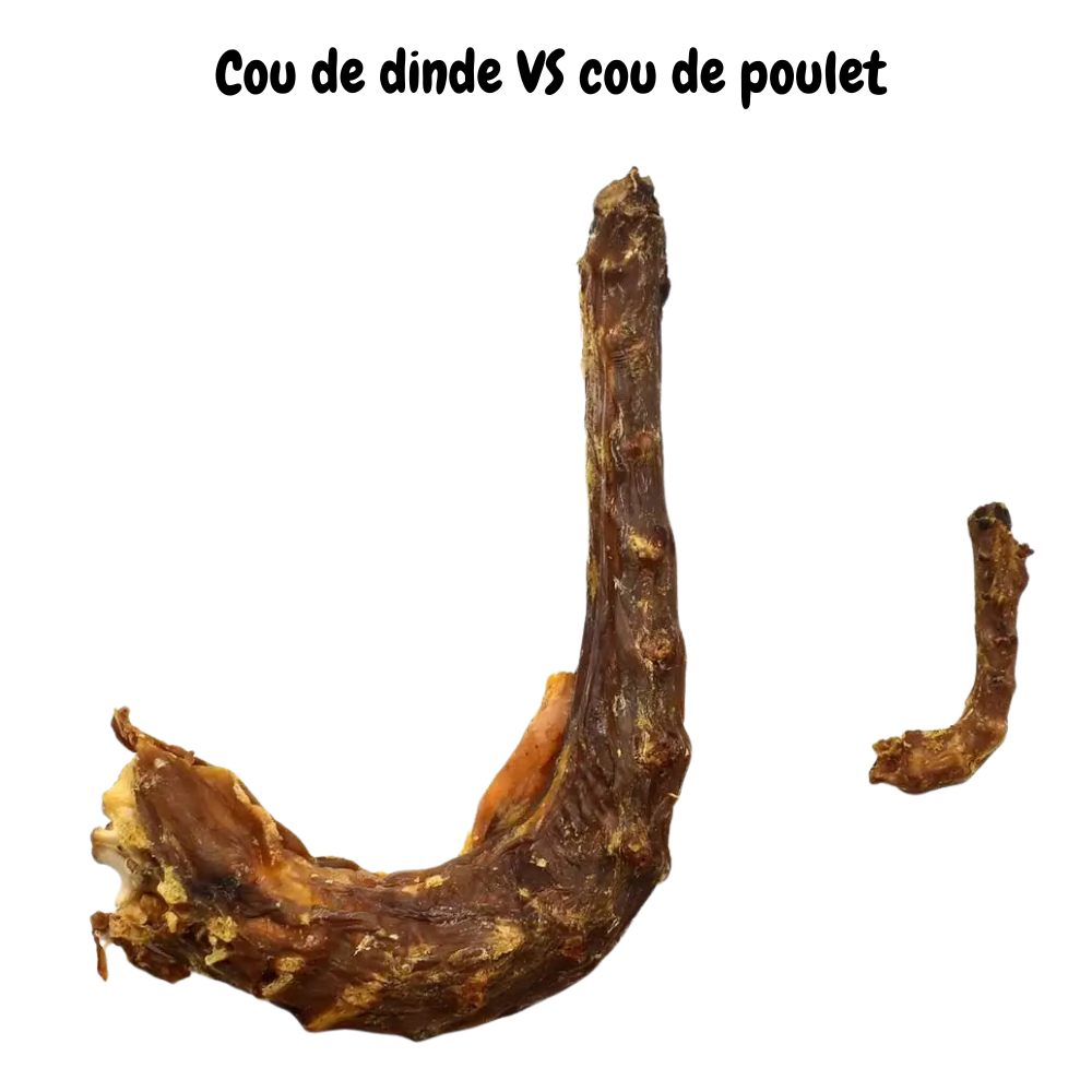 Cou de dinde pour chien 100 % naturel