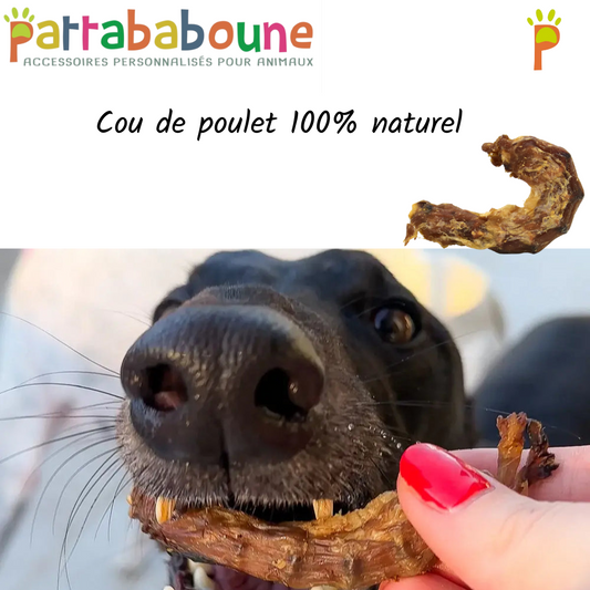 Cous de poulet pour chien 100 % naturel