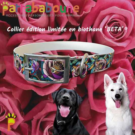 Collier chien édition limitée "roses en vitrail" en biothane 'BETA'® 25mm