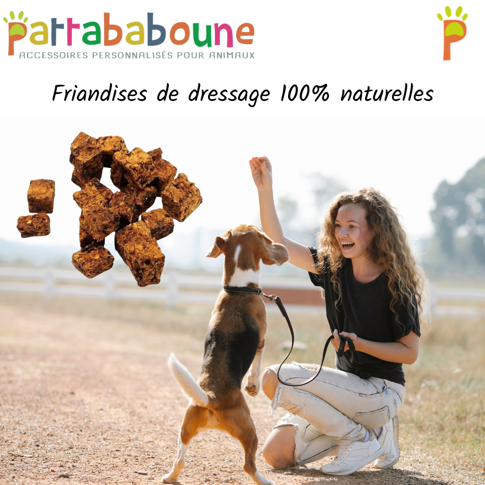 Friandises d'éducation chien & chat - 100 % naturelles, sans céréales