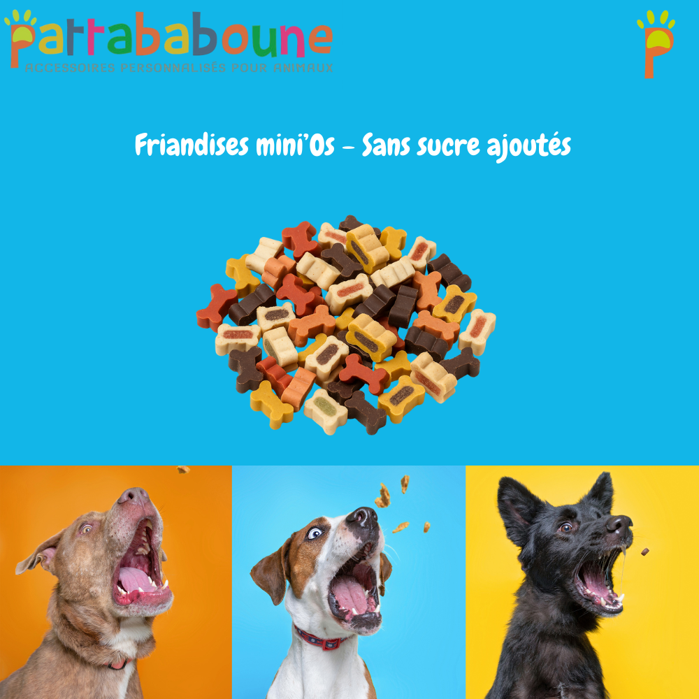 Friandises chien mini'Os d'éducation chien - Sans sucres ajoutés