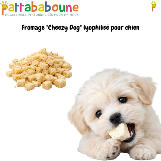 Fromage "Cheezy Dog" lyophilisé pour chien