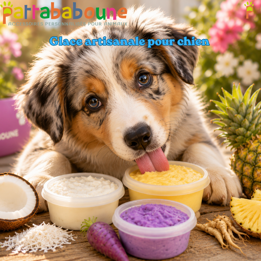 Glace artisanale pour chien