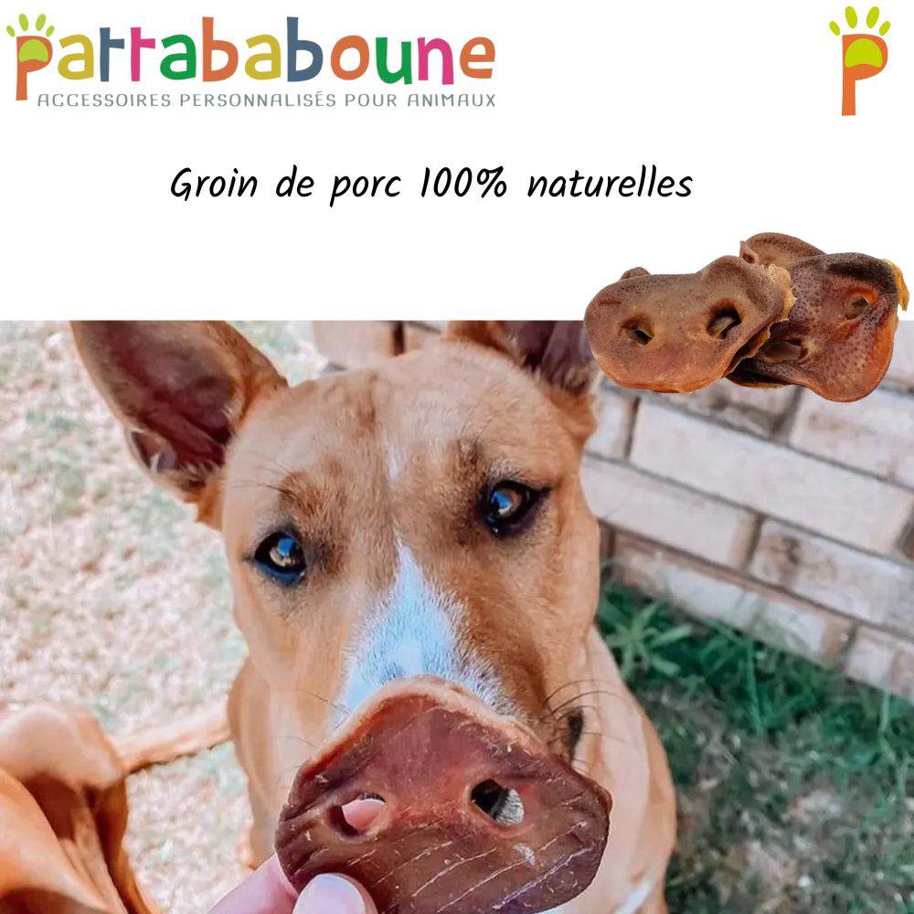 Groin de porc pour chien 100 % naturel