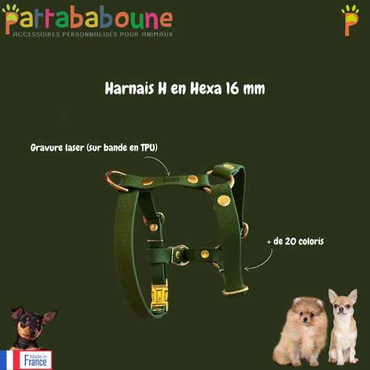 Harnais en H personnalisé pour chien en hexa 16 mm