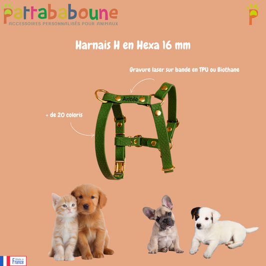 Harnais en H personnalisé pour chien en hexa 16 mm