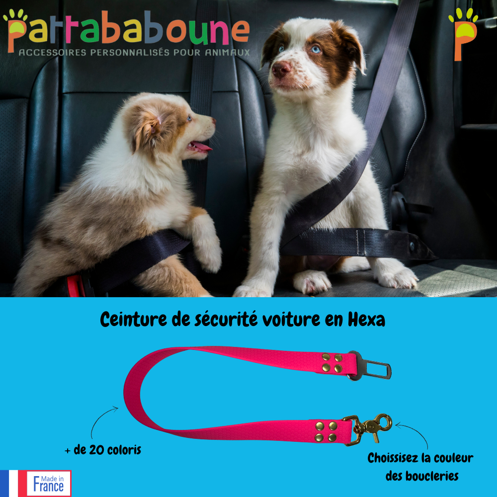 Ceinture de sécurité voiture pour chien et chat personnalisée en Hexa 25 mm