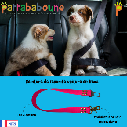 Ceinture de sécurité voiture pour chien et chat personnalisée en Hexa 25 mm