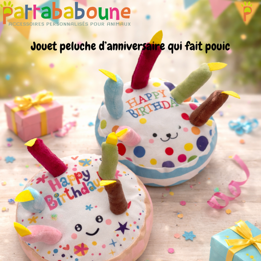 Jouet anniversaire pour chien - Gâteau peluche pouic