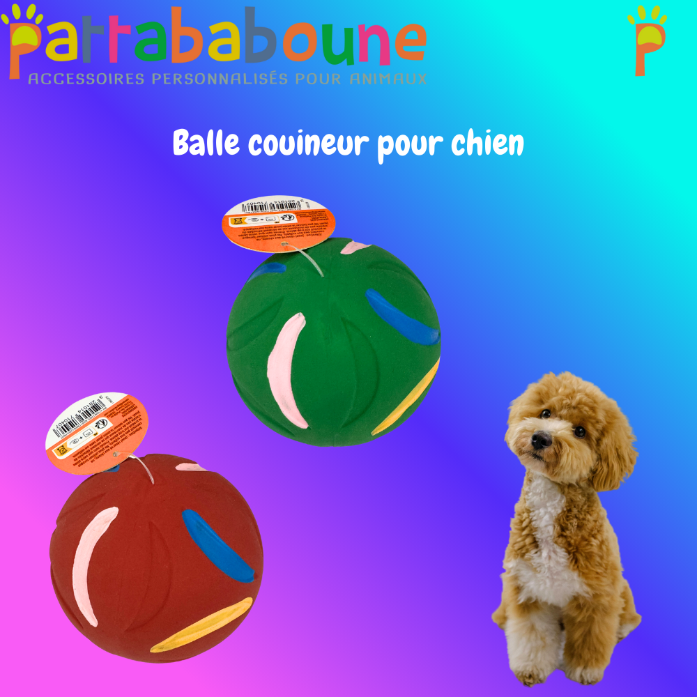 Squeaky ball toy for dogs