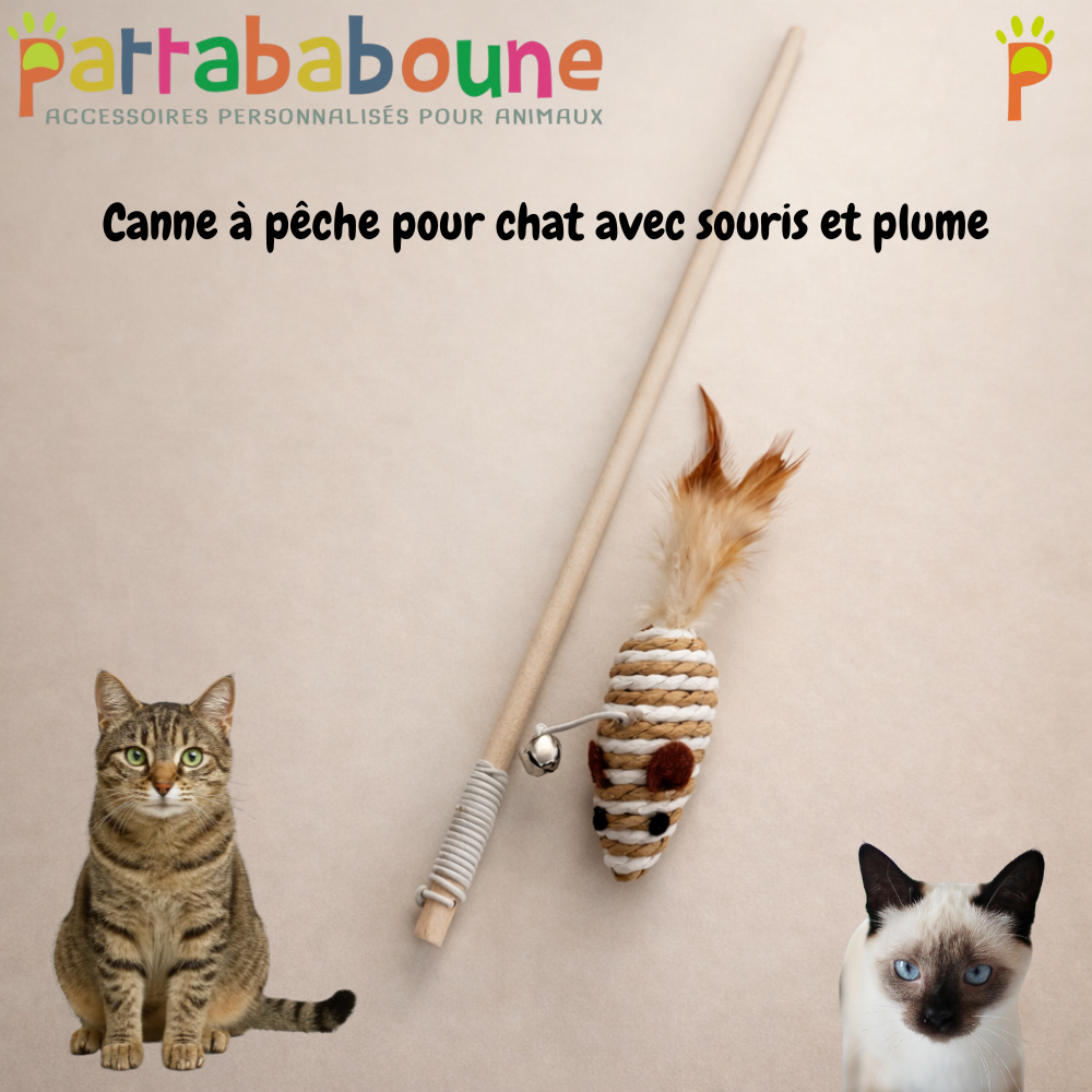 Canne à pêche pour chat