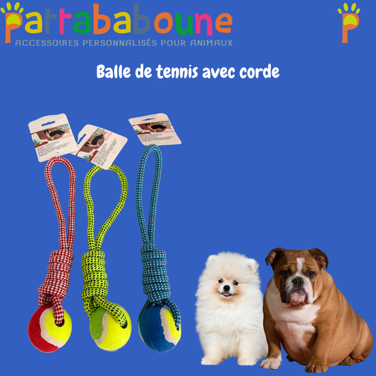 Jouet balle de tennis avec corde - Pour chien
