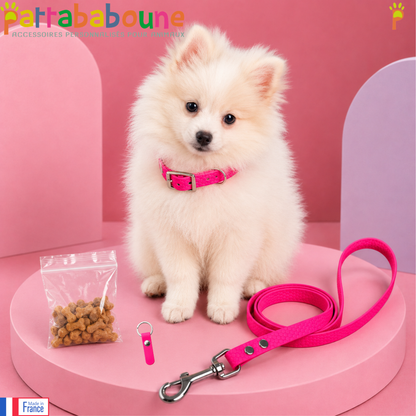 KIT chiot HEXA - Collier, laisse, médaille & friandises personnalisés