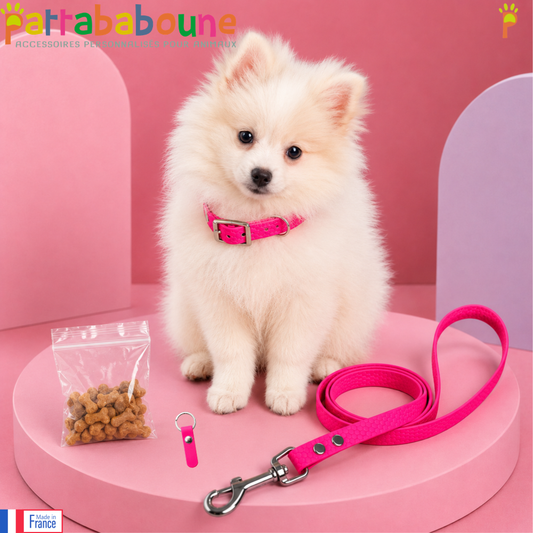 KIT chiot HEXA - Collier, laisse, médaille & friandises personnalisés