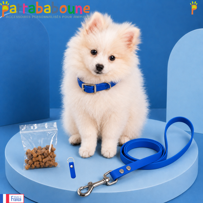 KIT chiot TPU - Collier, laisse, médaille & friandises personnalisés